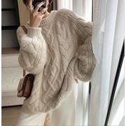 秋と冬新作　韓国のレディースニット  ファッションセーター トレンディなオールマッチセーター