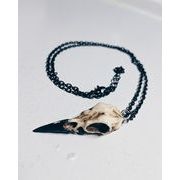黒チェーン 鳥 頭蓋骨 アクセサリークロウ（カラス）