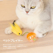 ネコ匹  小鳥  鈴付きおもちゃ  気を紛らす  ペットの発声おもちゃ  猫をからかう  猫のおもちゃ