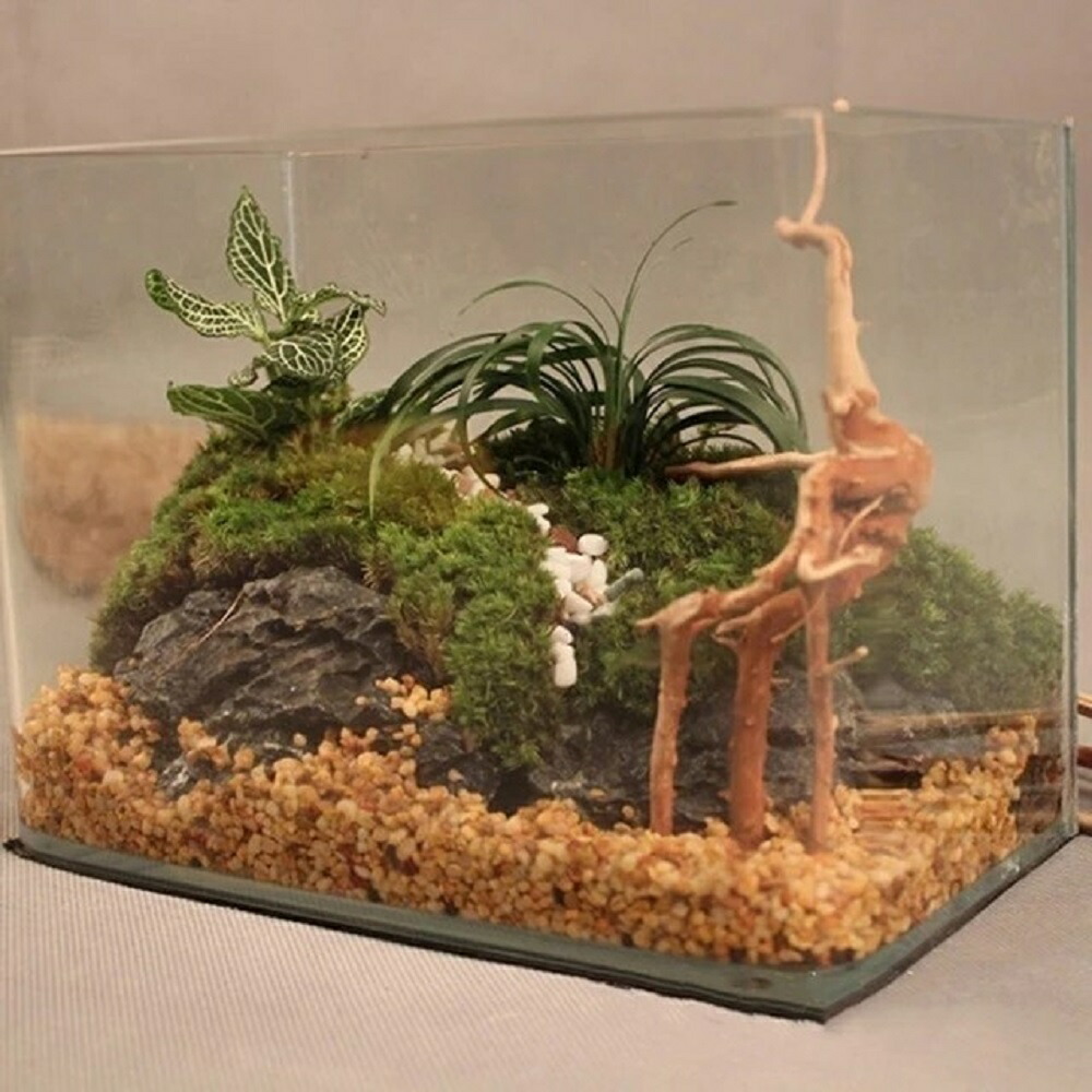 希少】アクアリウム・DIY向け 特大サイズ塊根ブランチウッド流木