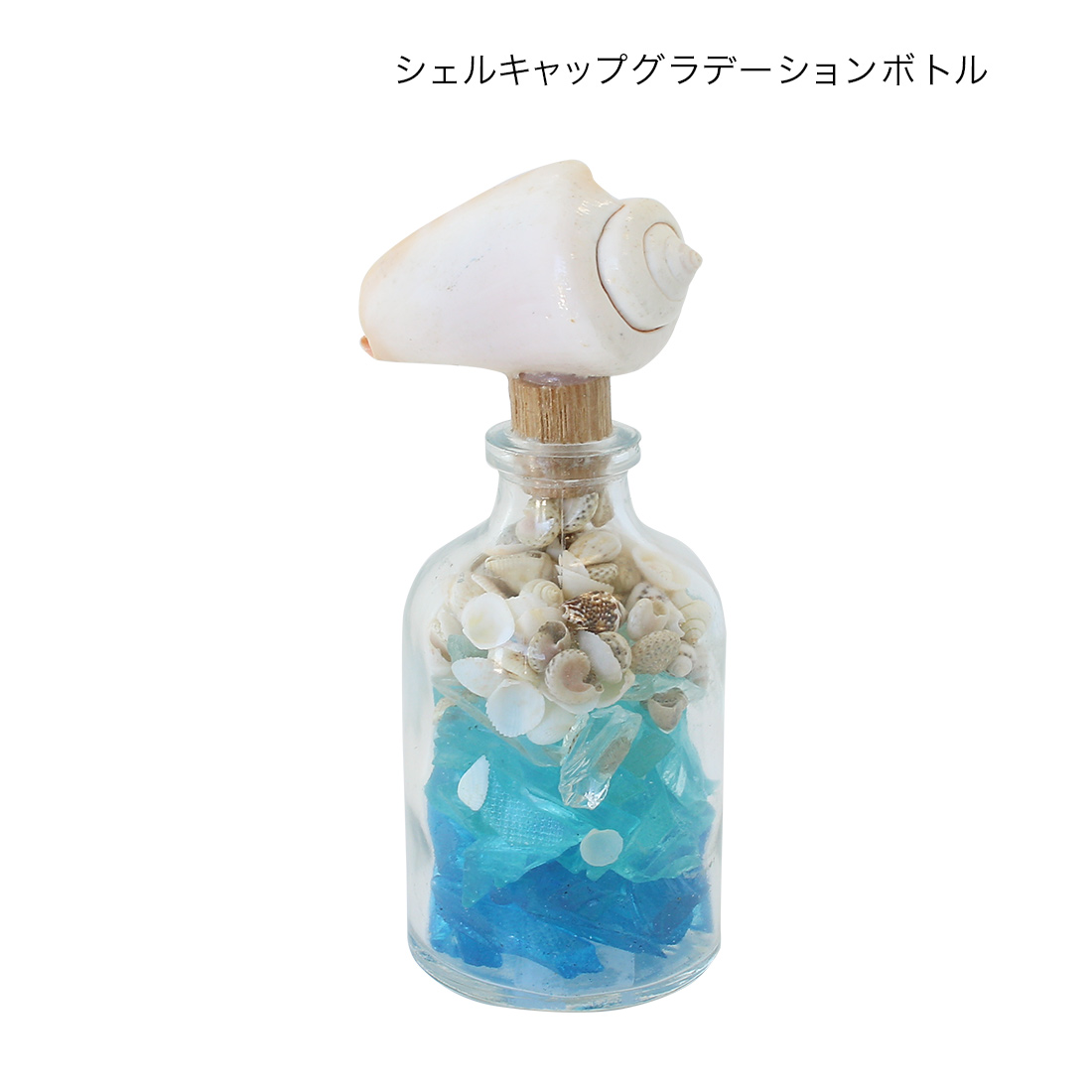 グラデーションボトル[瓶 ガラス シェル 貝 夏 マリン トロピカル