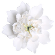 クリエイティブ デザインセンス セラミック 白牡丹の花 手作り 香炉 自宅 装飾 個性