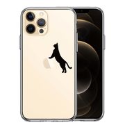 iPhone12 Pro 側面ソフト 背面ハード ハイブリッド クリア ケース ねこ 猫 リンゴで伸び