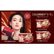 中国コスメ COLORKEY （カラーキー）ホリデイアイ＆チークパレット　『トラ』10色メイクパレット
