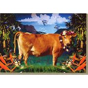 グリーティングカード 多目的 ウシシリーズ「COW OF PARADISE」牛 カラー写真