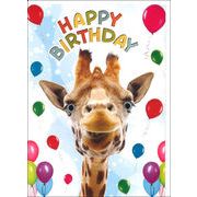 グリーティングカード 誕生日/バースデー ゴグリーズ目玉カード「キリン」動物 カラー写真
