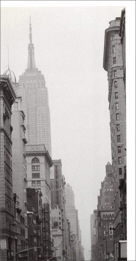 ロンググリーティングカード 多目的 モノクロ写真「五番街」建物 建造物