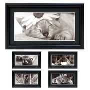 ロングポストカード入り額縁 モノクロ写真「猫」壁掛け マット付き フォトフレーム