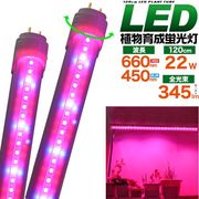 LED電球 蛍光灯 植物や野菜の育成に最適！ 植物育成用LED蛍光灯 120cmタイプ