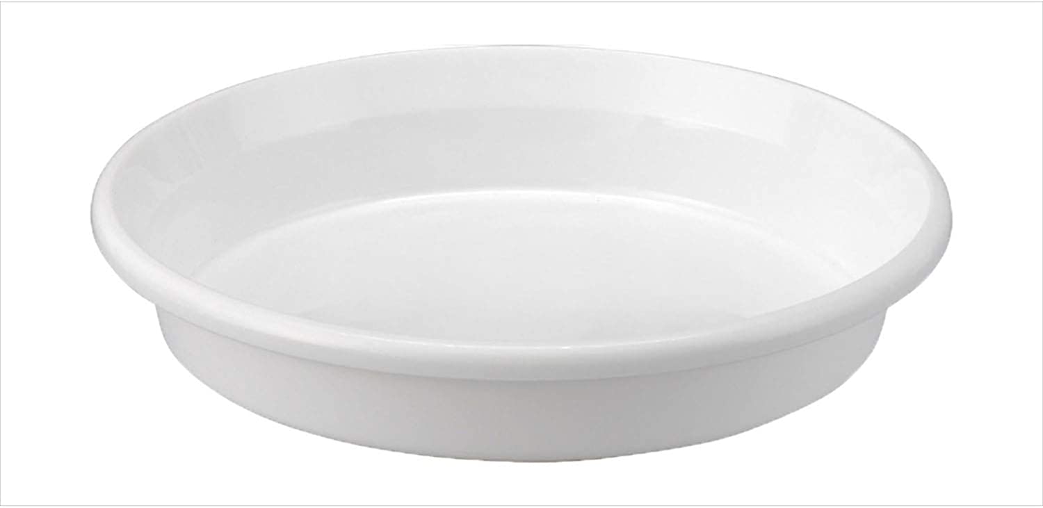 鉢皿F型 7号 ホワイト アップルウェアー