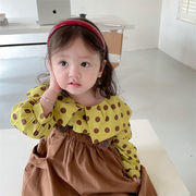 韓国子供服   女の子  ファッション   可愛い  大きなラペル  水玉  長袖    シャツ  トップス  春秋