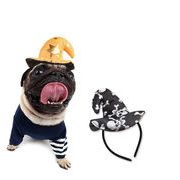 激安 ペット用帽子 犬用猫用 仮装帽子 大中小型犬/猫 ハロウィン Halloween 髑髏星 カチューシャ