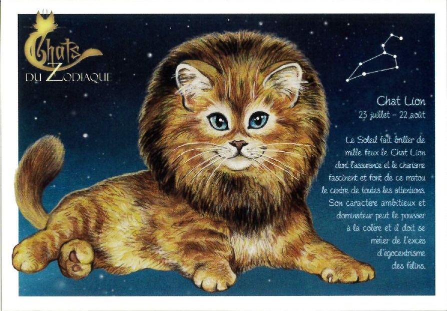 セブリーヌ 【 キャット ポストカード 】 Chat Lion しし座 猫 ネコ はがき