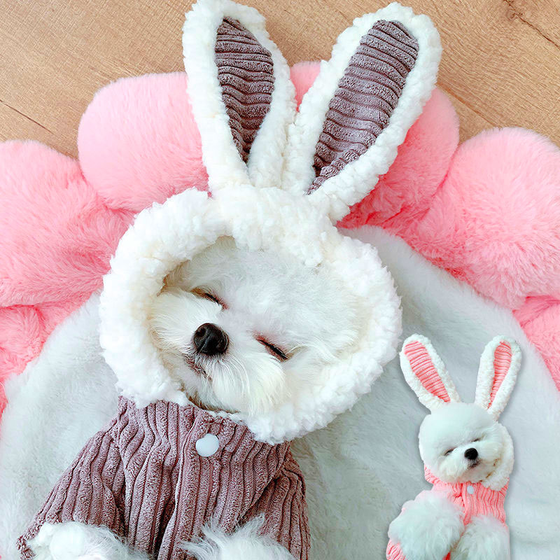韓国　韓国ファッション　犬服　ペット 服　ペット　犬 服　猫服　ペット用品　ネコ雑貨　犬 ベッド