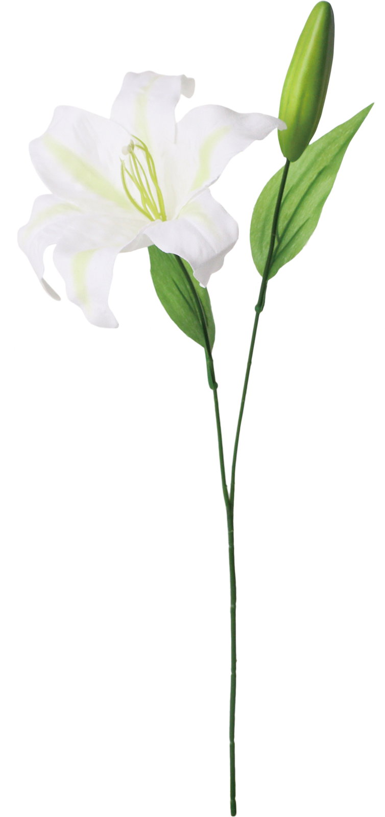 【造花】シングルカサブランカ　ホワイト　ＦＦ－３０５４Ｗ