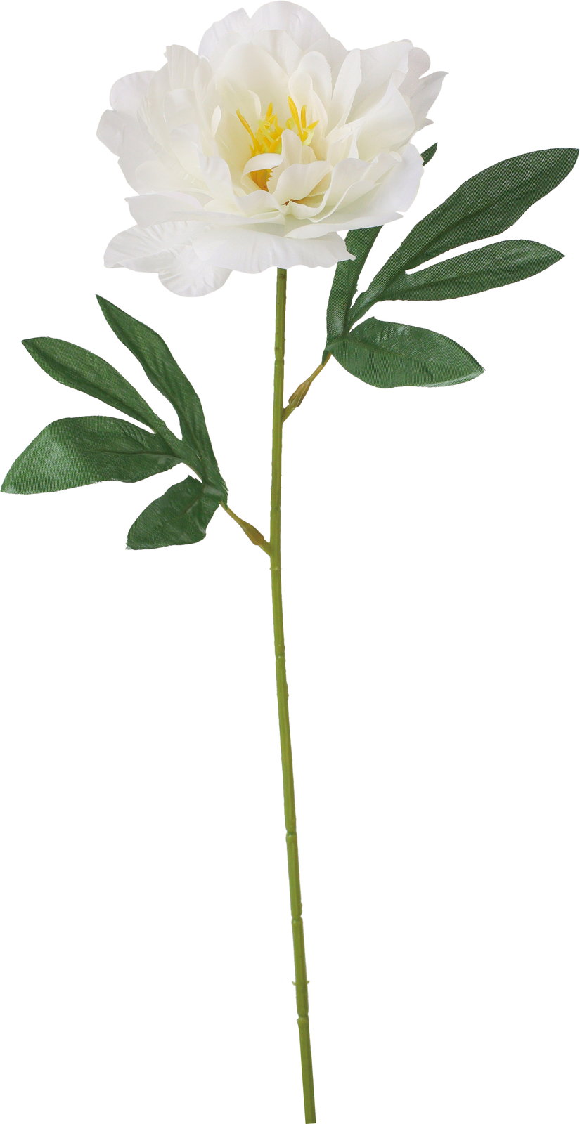 【造花】シングルピオニー　ホワイト　ＦＦ－３０４８Ｗ