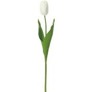 【造花】【春】パレードチューリップ　ホワイト　ＦＳ－７９３５Ｗ