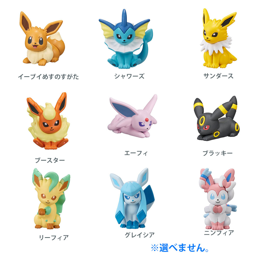 ポケモン ブラッキー ニンフィア エーフィ クリアファイル - クリア