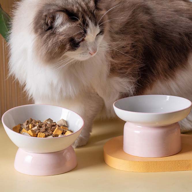 【2023春夏新作】 ペット用小皿　全3色 丸皿 プレート 猫柄 ネコ柄 食器 犬猫兼用
