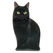 【ご紹介します！！リアルな猫たちが転写された陶器シリーズです！】リアルキャット箸置き  クロ