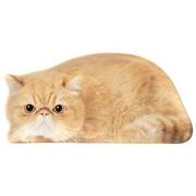 【ご紹介します！！リアルな猫たちが転写された陶器シリーズです！】リアルキャット豆皿  エキゾチック