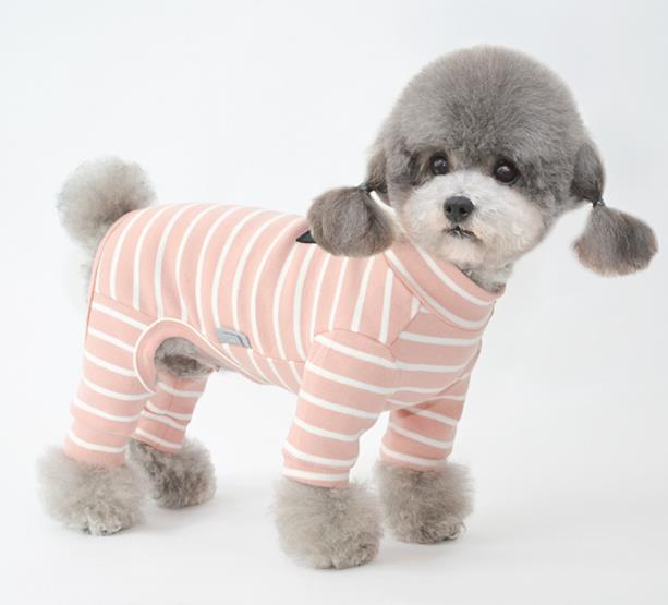 2023 犬服   ペット服  猫犬兼用 ペット用品  可愛い    小型犬服  保温    ネコ雑貨2色