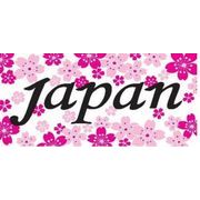 FJK 日本のTシャツ お土産 Tシャツ 桜JAPAN 白 Lサイズ T-220-L