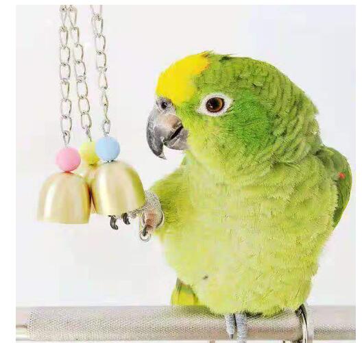 オーダーページ）ハンドメイド インコさんのぐるぐるロープパーチ