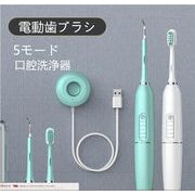 電動歯ブラシ 超音波歯ブラシ 5モード 口腔ケア美容器口腔洗浄機 USB IPX7防水 携帯便利 口内ケア