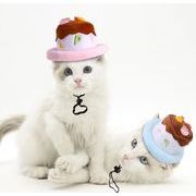 小型犬服★超可愛いペット用帽子★犬猫用仮装帽子★犬用帽子★ネコ雑貨★誕生日