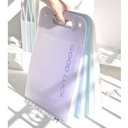 ステーショナリー 学生 文房具 ファイルケース 整理 収納　A4