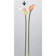 造花　ドライ　ディスプレイ　Ａ－３４３１８　カラーリリィ　＃００３Ｃ　クリ－ムピンク