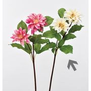 造花　ドライ　ディスプレイ　Ａ－３３９９７　ダリア×２　＃０９１Ｐ　アイボリ－ピンク