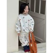 2025 冬新作 韓国風  子供服   ベビー服 トップス   パーカー +ロングパンツ 2点セット