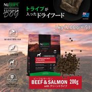 ニュートライプ　ＧＦドライ　ドッグ　ビーフ＆サーモン　ｗｉｔｈ　グリーントライプ NUT3511-5