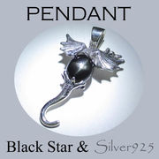 CSs 4-4050-23 ◆ Silver925 シルバー ペンダント  ドラゴン 龍　ブラックスター  N-902
