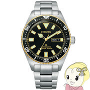 腕時計 プロマスター NY0125-83E メンズ シルバー シチズン Citizen