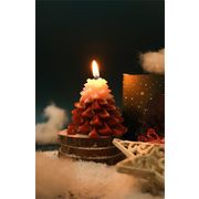 安いし可愛い大人気商品 クリスマスキャンドル 手土産 DIY 手作りアロマ クリスマスツリー クリスマス