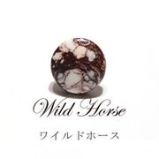 ルース　ワイルドホース　ラウンドカット　約14mm　アメリカ産　ケース付き