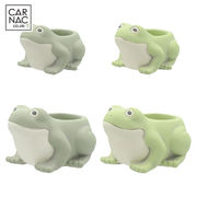 ■カルナック■■SALE■■多肉アイテム■　ドニーズ　フロッグポット
