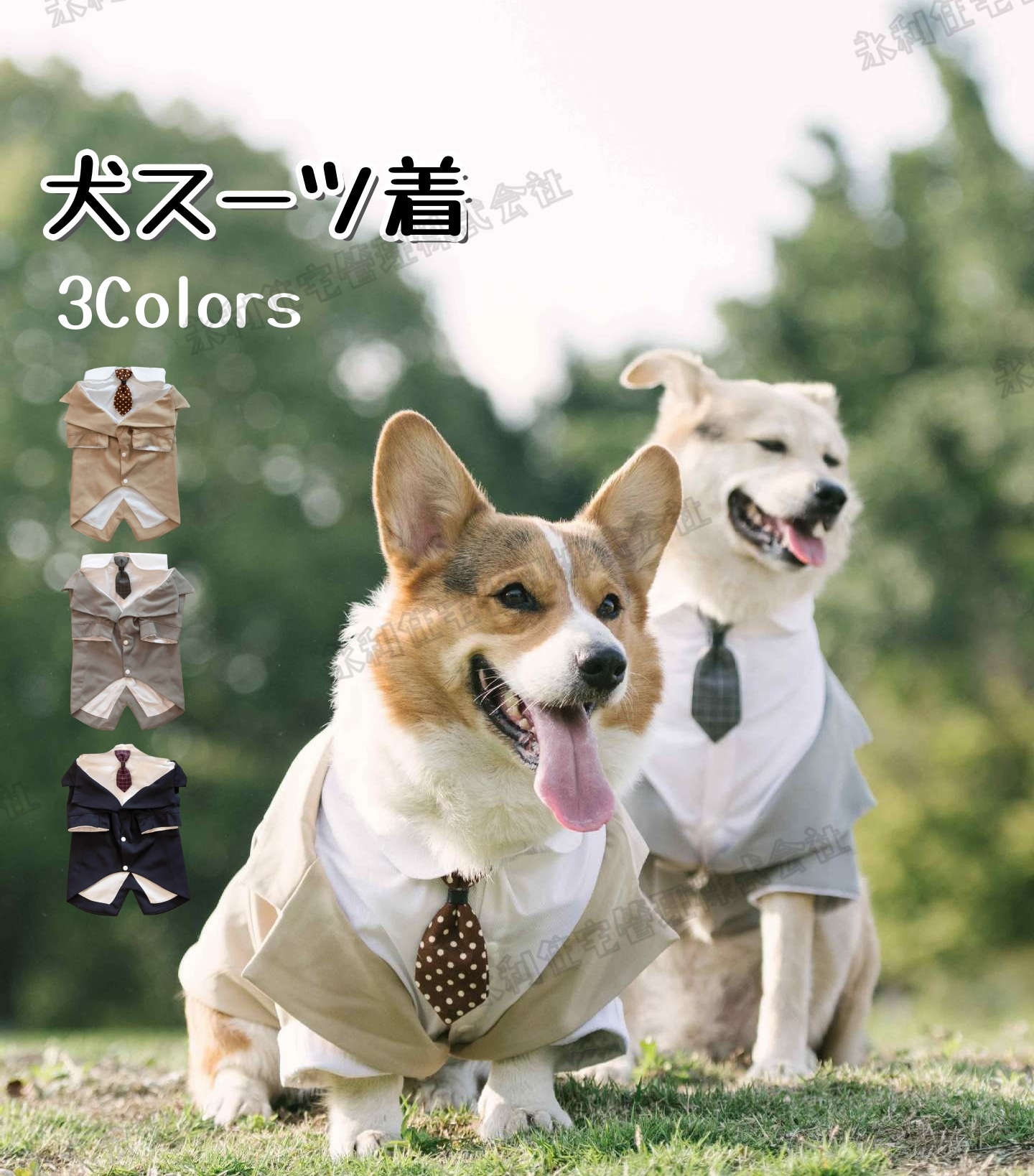 【犬服】フェイクレイヤード　スーツ　犬用　結婚式　ウェディング　ネクタイ　重ね着　ドッグウェア