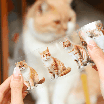 春新作 カフェ風 PETシール ステッカー マスキングテープ 可愛いアニマル図鑑 猫キャット 55mm*2m