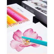12色セット 色鉛筆 カラーペン 水溶性色鉛筆 絵の具 アート鉛筆 スケッチ用