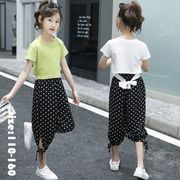 韓国子供服 セットアップ tシャツ パンツ カジュアル ナチュラル 夏 シフォン 水玉 ワイドパンツ 半袖