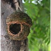 鳥の巣 巣箱 草の巣  わら 手編まれた巣箱 鳥用品 天然素材 丈夫で耐久性 四季通用 鳥の休憩所 庭園飾り