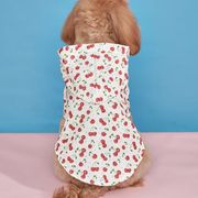 【2024春夏新作】ペット服  犬服   猫服　レインコート 　超可愛い  ドッグウエア  ペット用品   ネコ雑貨