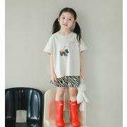 キッズ服     韓国風子供服    カジュアル半ズボン    パンツ    3色