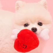 【2024新作】ペット服    犬服   犬のおもちゃ　 超可愛い   ペットの玩具   発声   ペット用品   ネコ雑貨