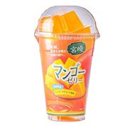 マンゴーポーションゼリー 22g×12個 宮崎産マンゴーピューレ 一口ゼリー