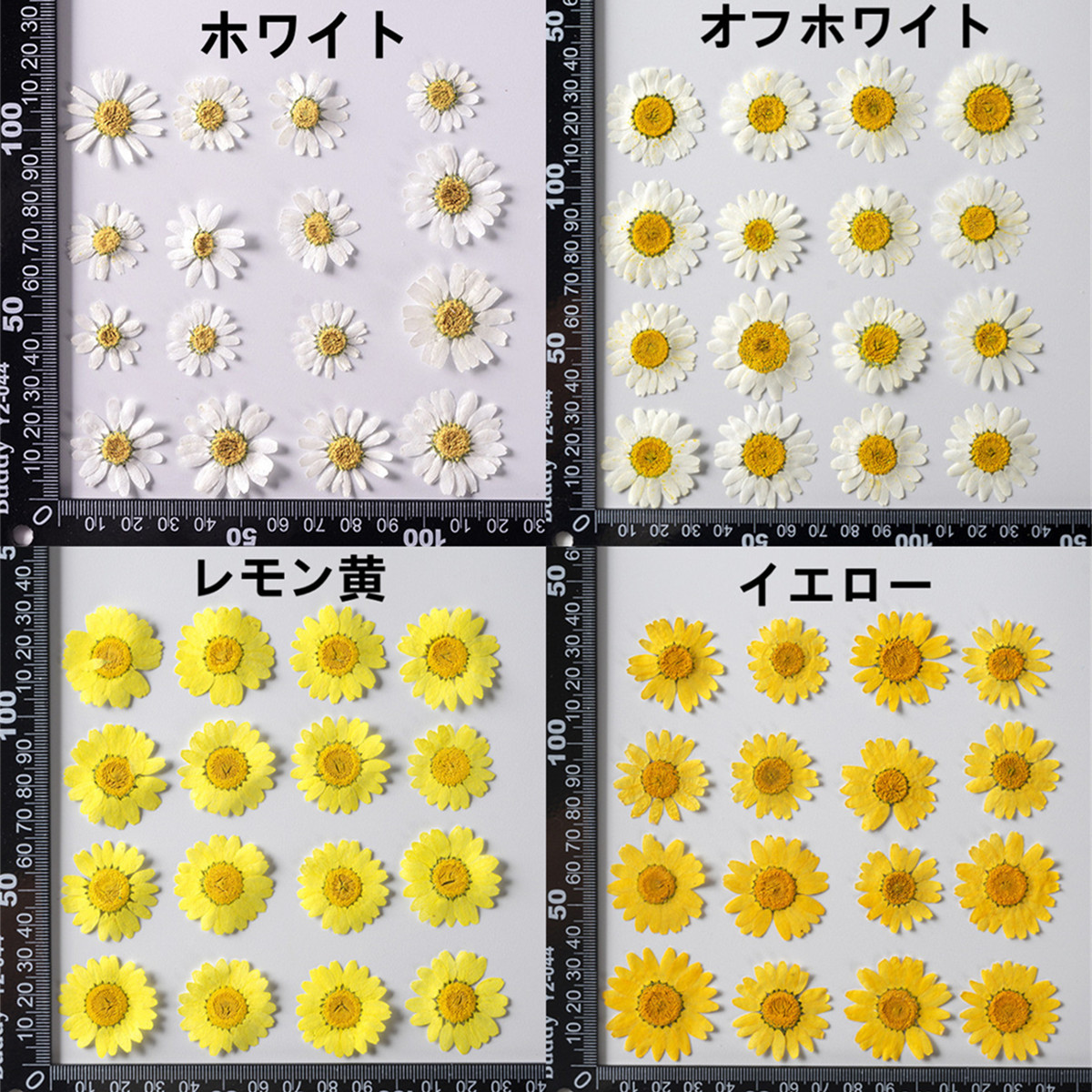ゲーム 【世界に三枚だけ！】PSA10 Lycee アルターエゴ メルトリリス